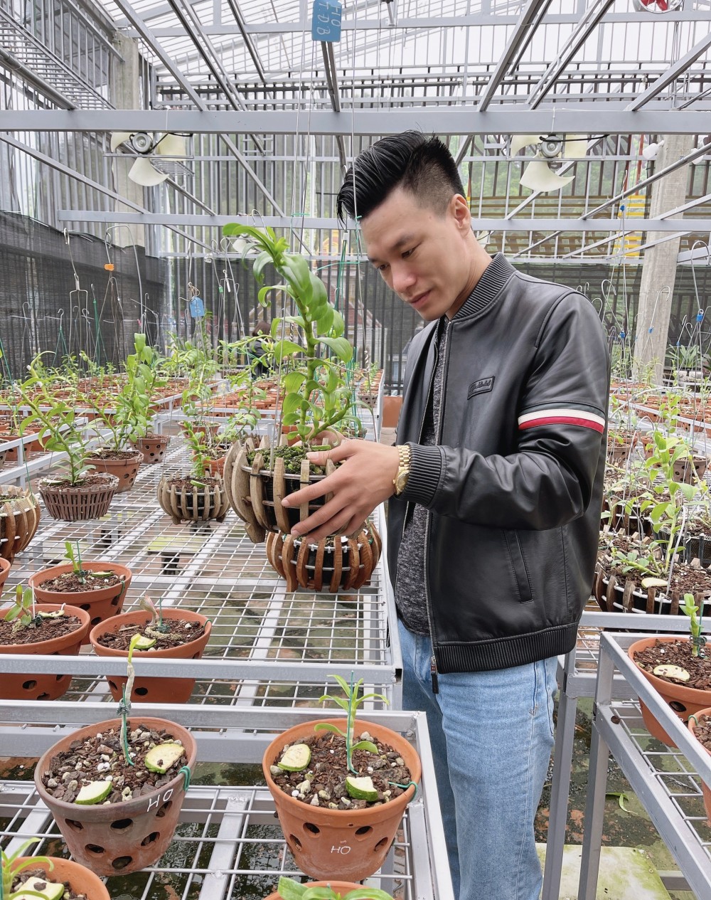 Thầy giáo Vũ Hoàng Giang và vườn lan giá trị được nhiều người ngưỡng mộ