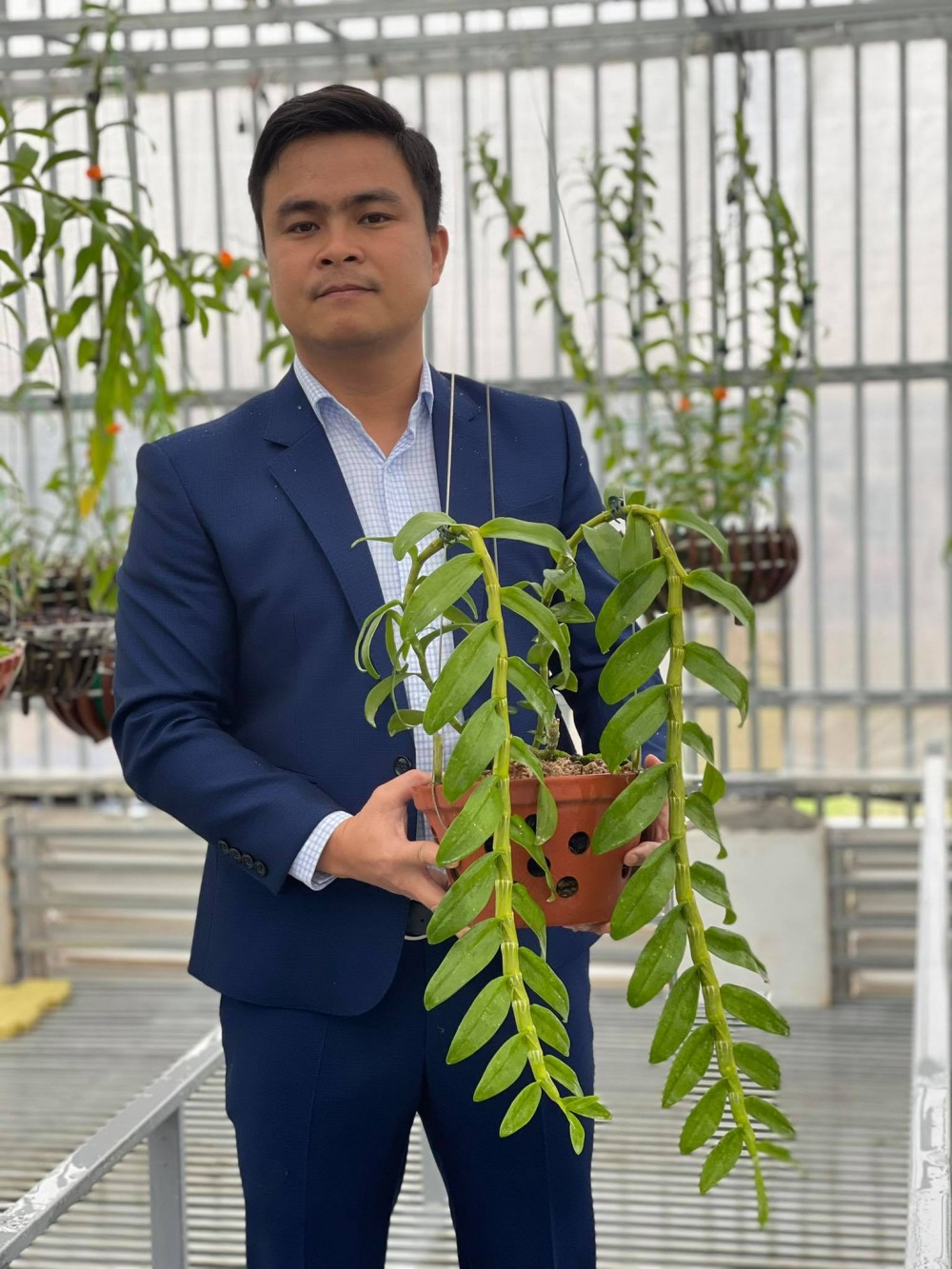Hiện tại, dù tuổi đời còn trẻ, Alex Nguyễn đã sở hữu vườn lan rộng gần 200 m2 với hơn 300 chậu lan đột biến. 