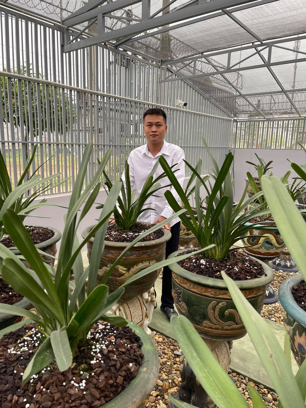 Nguyễn Đức Anh: Ông chủ vườn lan 8X say mê hoa lan đột biến
