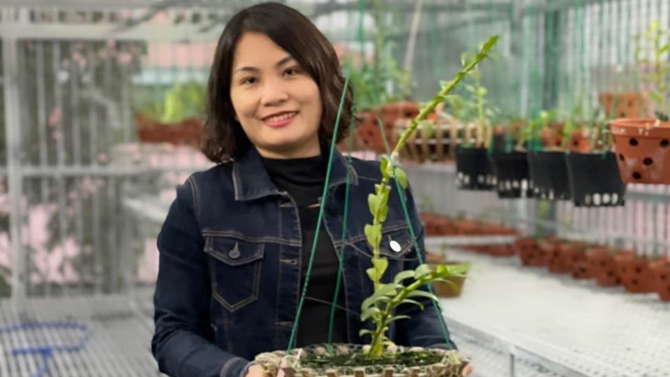Nguyễn Hoàng Anh: Cô chủ 8X sở hữu vườn lan nghìn chậu