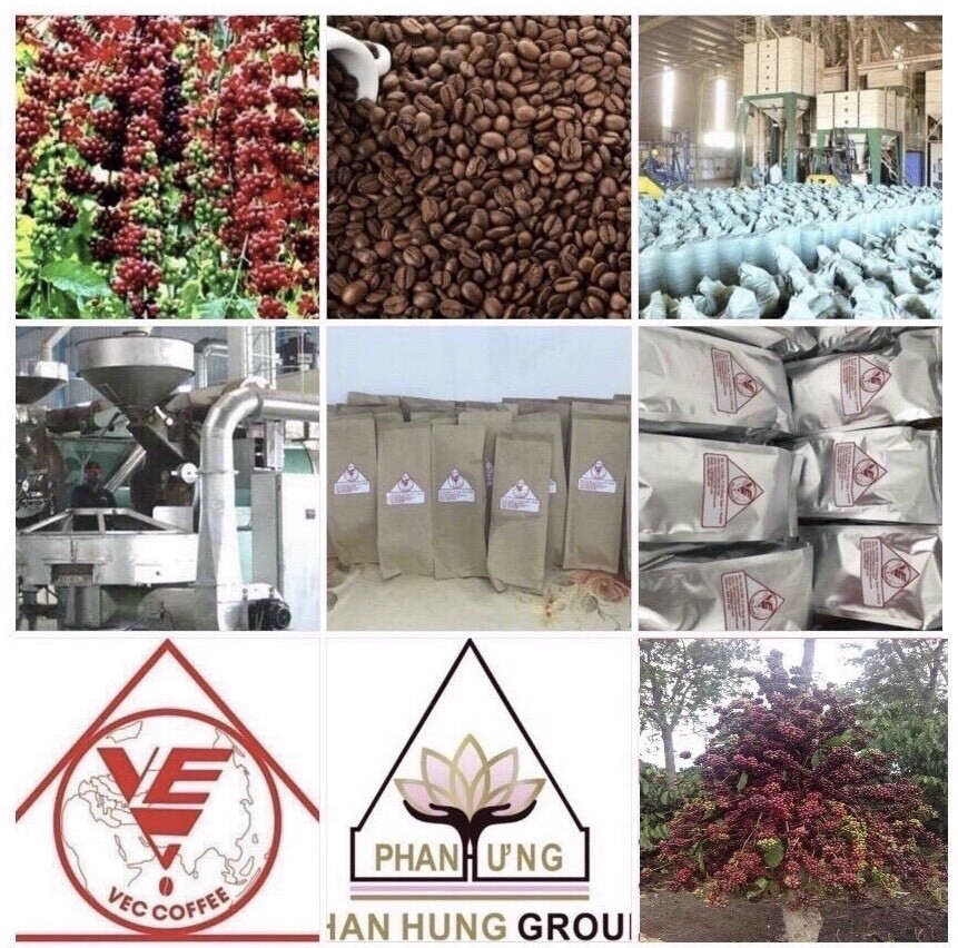 Phan Hưng Group nâng tầm cà phê và cao nhung hươu Việt Nam