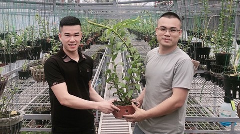 Doanh nhân trẻ Trần Quang Đồng và bí quyết kinh doanh lan thành công