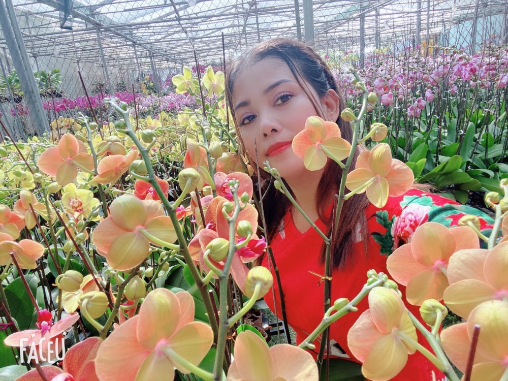 Cô chủ vườn lan Hằng Nguyễn chia sẻ kinh nghiệm chăm sóc hoa lan