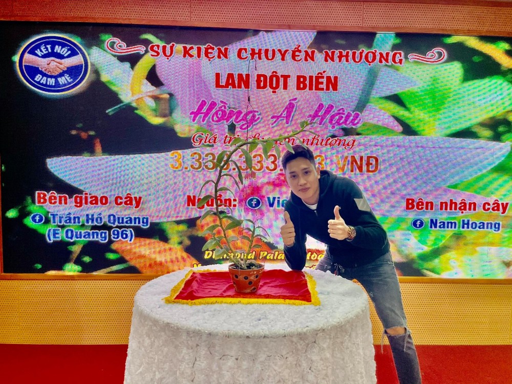 Ông chủ vườn lan 9X Trần Hồ Quang và niềm đam mê hoa phong lan