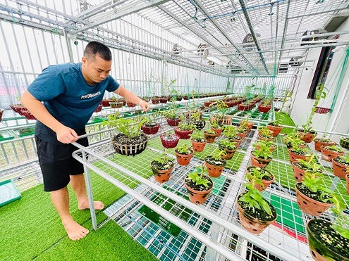 tới giờ Huỳnh Long đã sở hữu một vườn lan rộng khoảng 100m2 với xấp xỉ 500 chậu lan đột biến.
