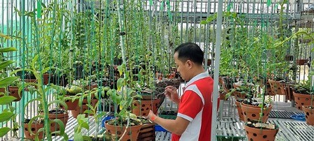 Theo nghệ nhân Nguyễn Duy Quý, những người chọn nghề trồng lan cần làm đầu tiên chính là xác định tư tưởng. 