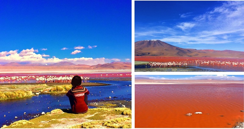 Dung Trần tại hồ đỏ “Laguna Colorada” ở Bolivia.