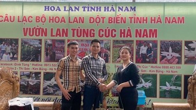 Phạm Văn Chiến: Ông chủ vườn ươm lan đột biến giá trị khủng