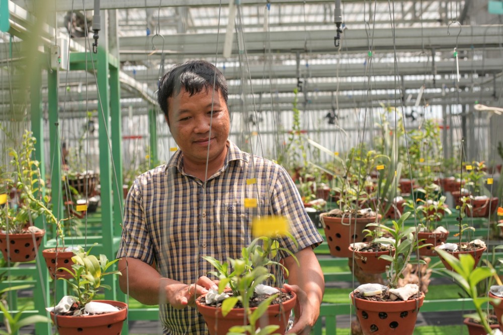 Trương Việt Dũng: Từ CEO xây dựng đến người đam mê trồng lan