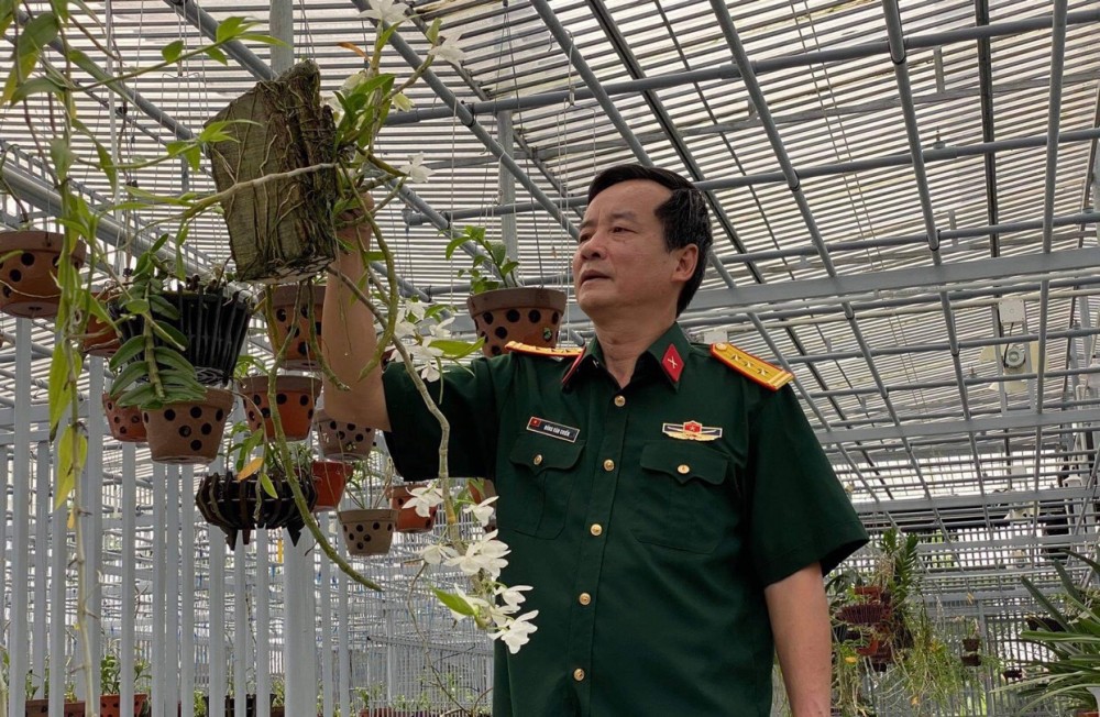 Nghệ nhân Đồng Chiến chia sẻ bí quyết chăm sóc cây lan trước và trong quá trình trổ hoa