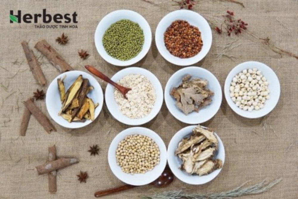 Sự giao thoa giữa dinh dưỡng và dược là nét đặc biệt riêng có ở các dòng sản phẩm của HerBest.