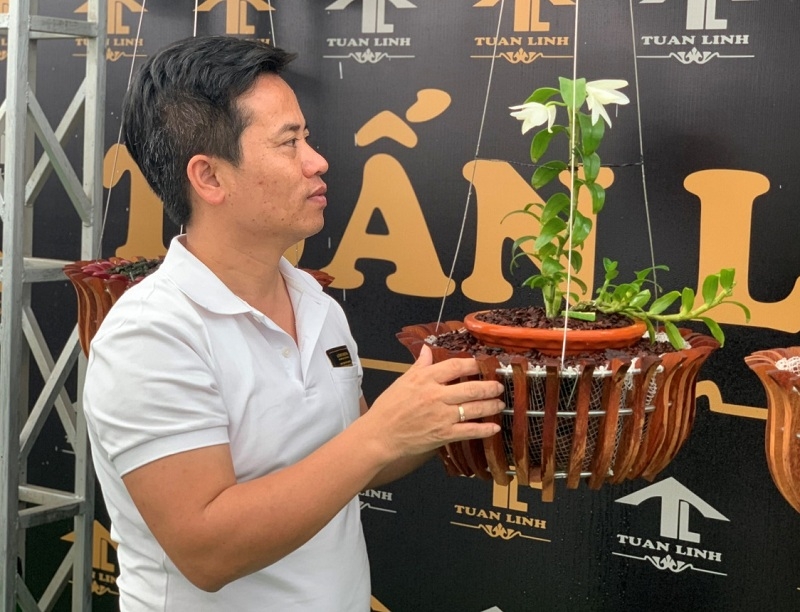 Những giỏ lan tuyệt đẹp của ông chủ Nguyễn Hữu Tuấn.