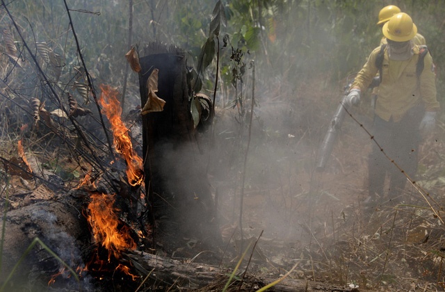 Cháy rừng Amazon: Cần bảo vệ “tấm khiên xanh” bằng mọi giá
