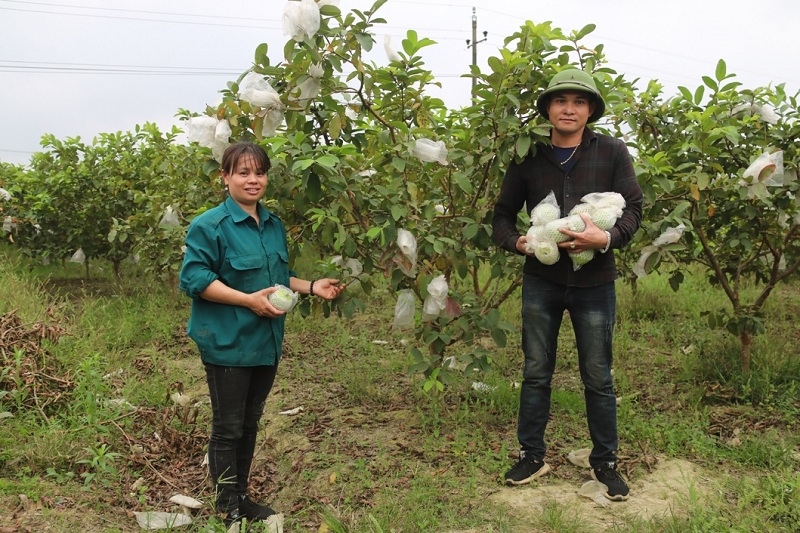 Fruit Farm Business Owner