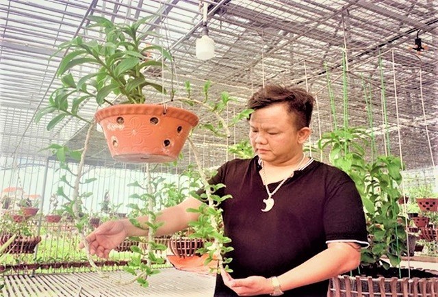 Từ niềm đam mê, nghệ nhân Nguyễn Đăng Ghin đã chinh phục nhiều dòng lan quý