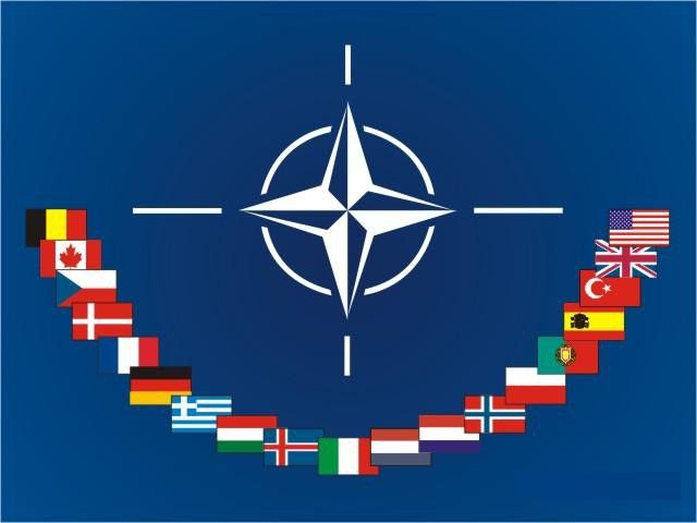 Tổng thống Pháp: NATO đang trải qua giai đoạn "tê liệt"