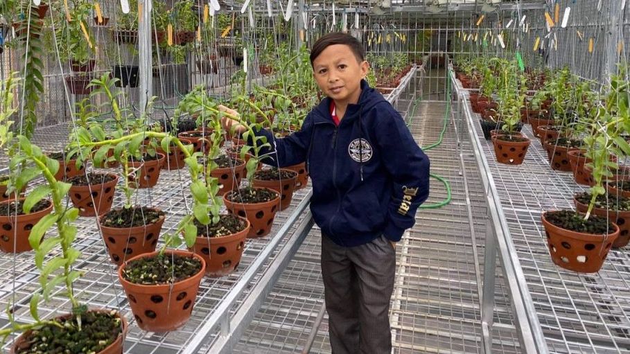 Mạnh Đinh: Chàng trai 8X nuôi dưỡng ước mơ làm giàu từ hoa phong lan