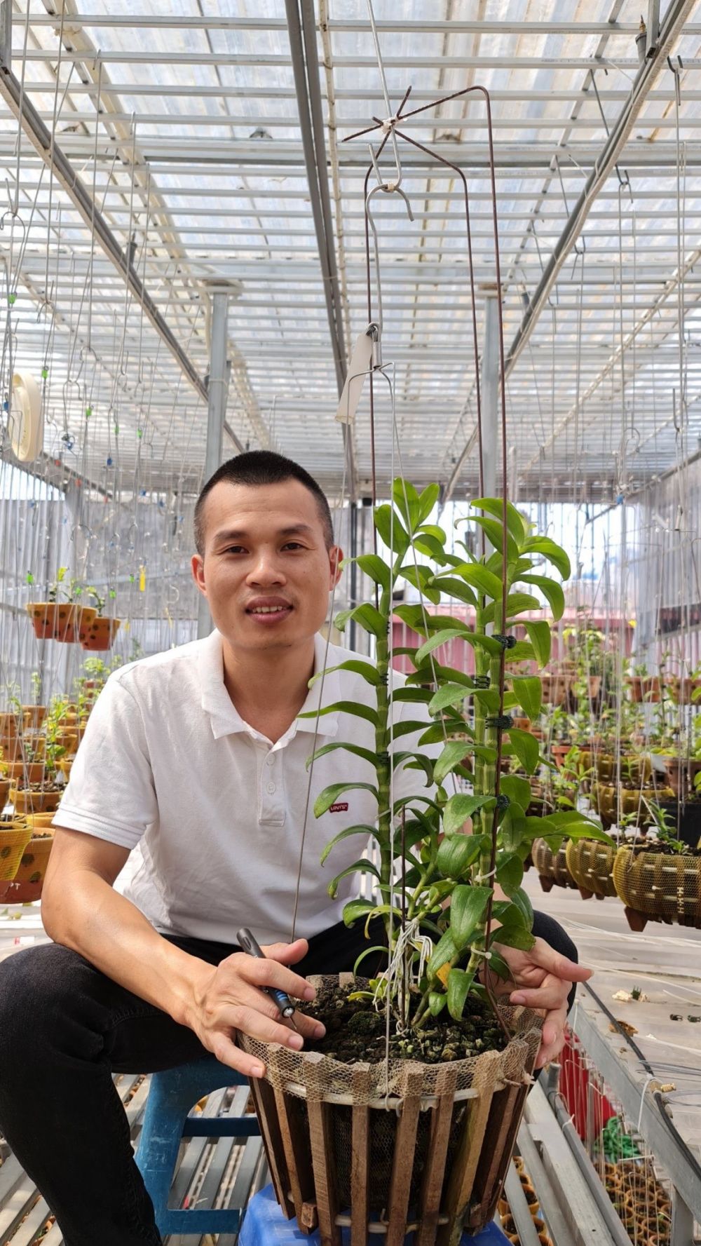Doanh nhân Hoangnam Jsc: Thỏa niềm đam mê với chăm sóc hoa lan
