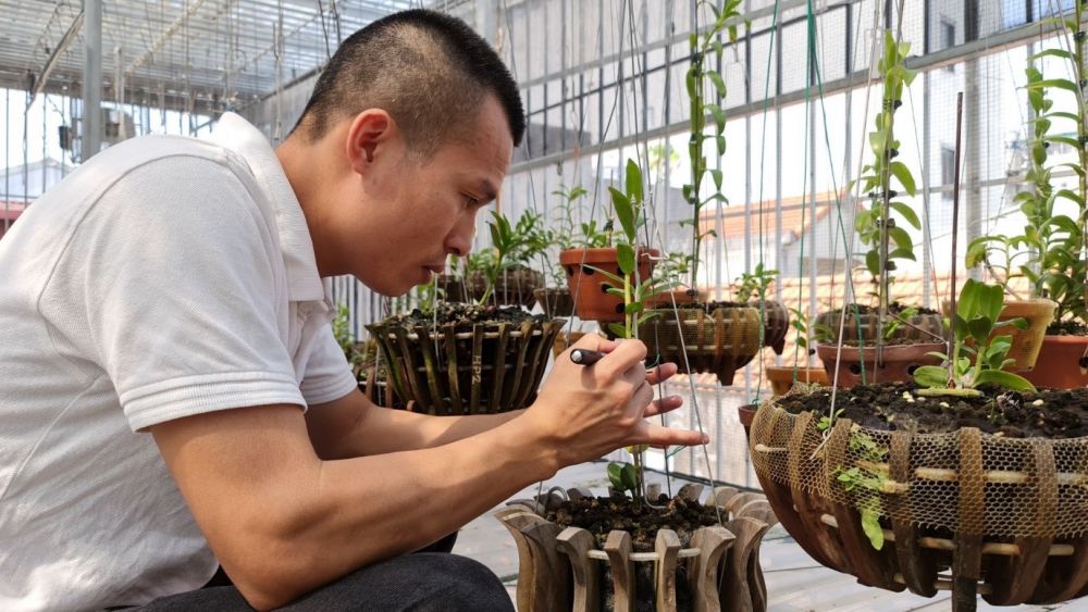 Doanh nhân Hoangnam Jsc tỉ mỉ chăm sóc vườn lan của mình