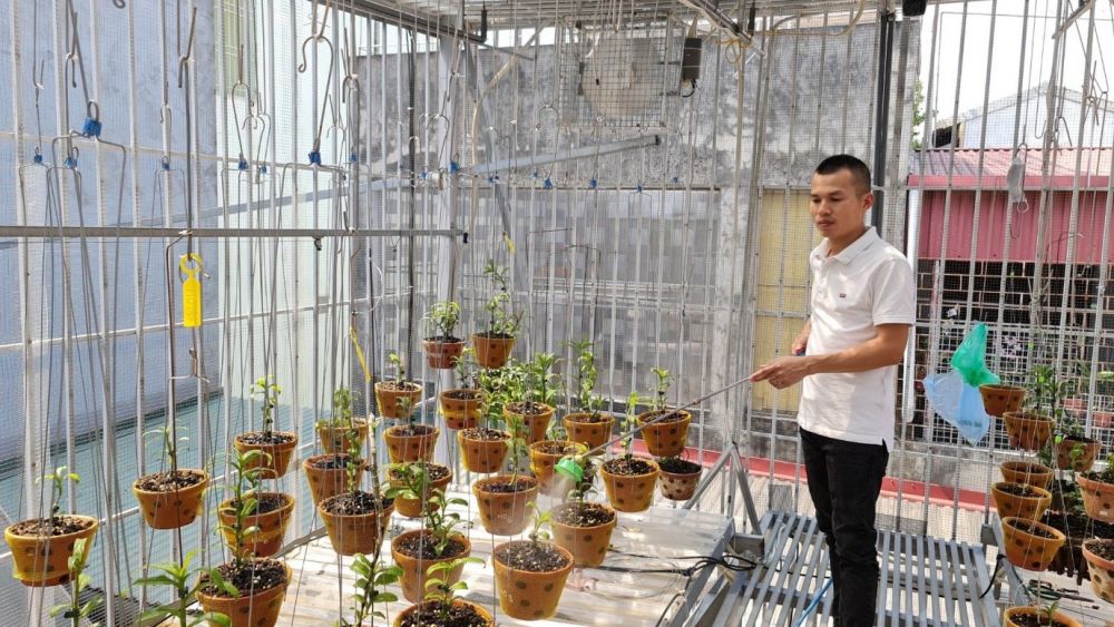 Doanh nhân Hoangnam Jsc: Thỏa niềm đam mê với chăm sóc hoa lan