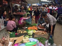 tet 2019 nhung chiec banh kem bo tao hinh cay dao mai hut khach