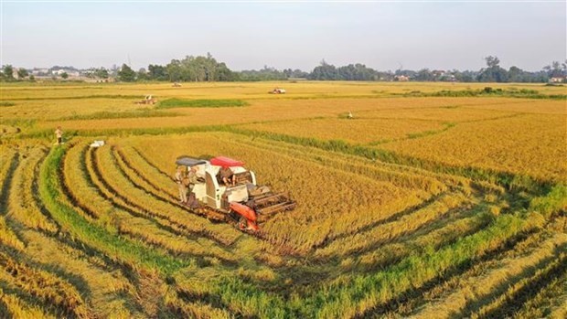 Fifth Viet Nam Rice Festival underway in Vinh Long