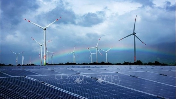 Auction mechanism needed for sustainable development of renewable energy market: Dialogue