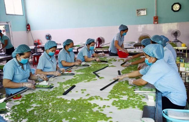 Vietnamese female entrepreneurs supported in cross-border e-commerce. (Photo: vneconomy.vn)