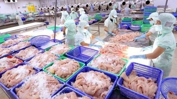 Vietnamese seafood sector to enjoy strong growth in 2021-2030: Report