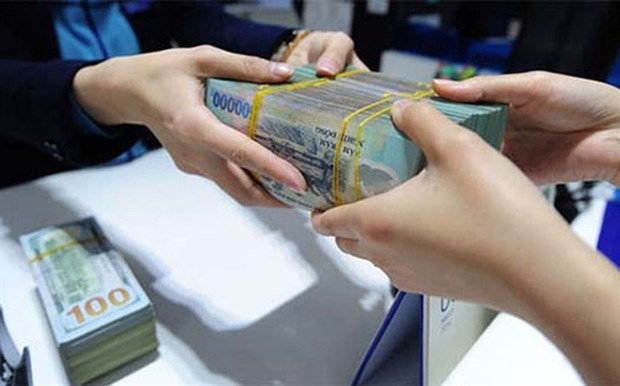 Bank deposit growth of individual customers slowed in 2021. (Photo: VNA)