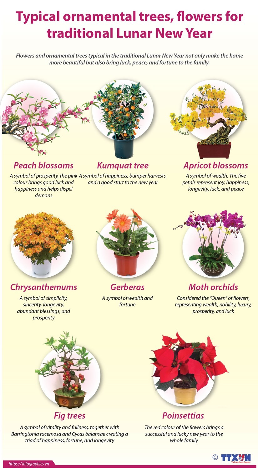 Typical ornamental trees, flowers for traditional Lunar New Year. (Photo: VNA)