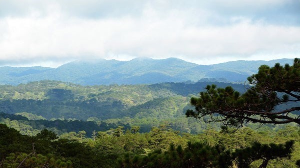 Exploring Langbiang - first biosphere reserve in Central Highlands