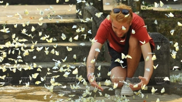 Cuc Phuong named Asia’s leading national park