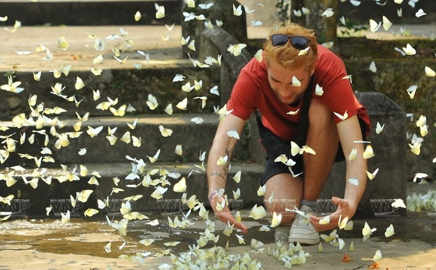 Cuc Phuong named Asia’s leading national park Cuc Phuong named Asia’s leading national park