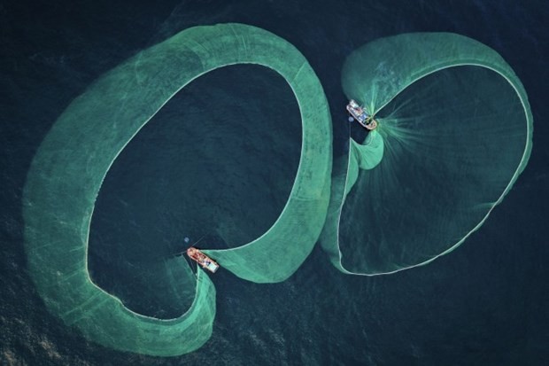 Photographer Nguyen Ngoc Thien's photo featuring anchovy fishing. (Photo: vnexpress.net)