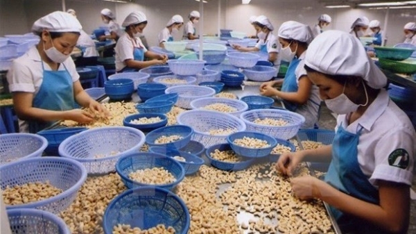 Cashew sector predicted to secure good export growth in 2022