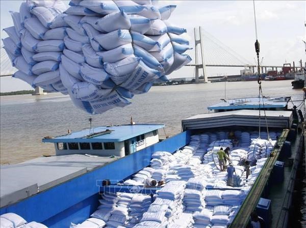 Vietnamese rice for export (Photo: VNA)