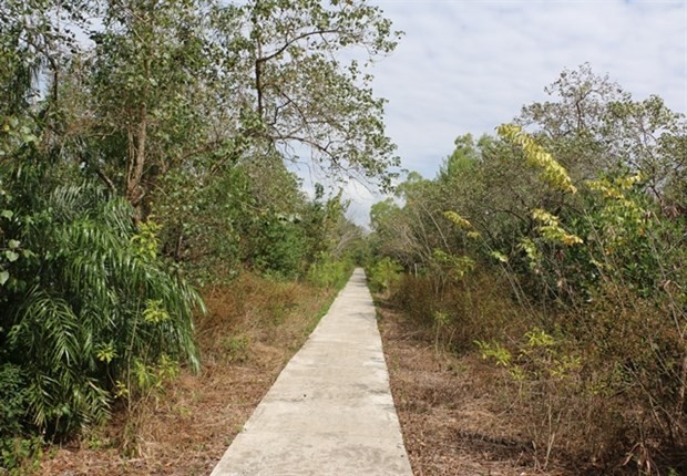 A road in the Bac Lieu Bird Sanctuary is cleaned and grass cut to minimise forest fire risks. (Photo: VNA)