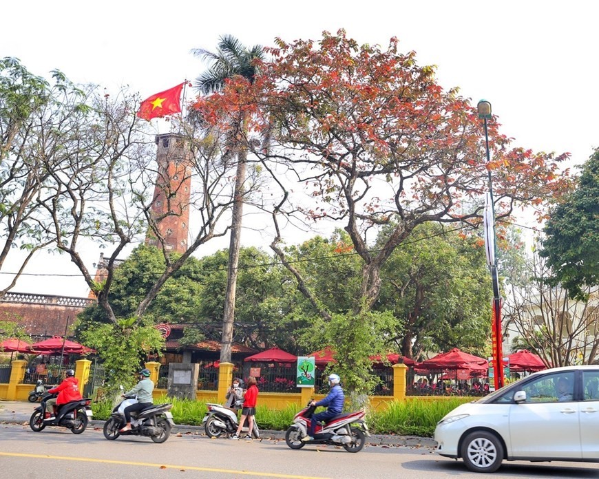 Autumn-like leaves welcome Ha Noi spring