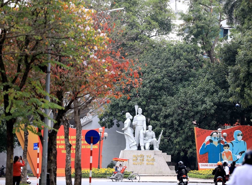 Autumn-like leaves welcome Ha Noi spring