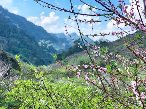 Ta Xua: The land above the clouds