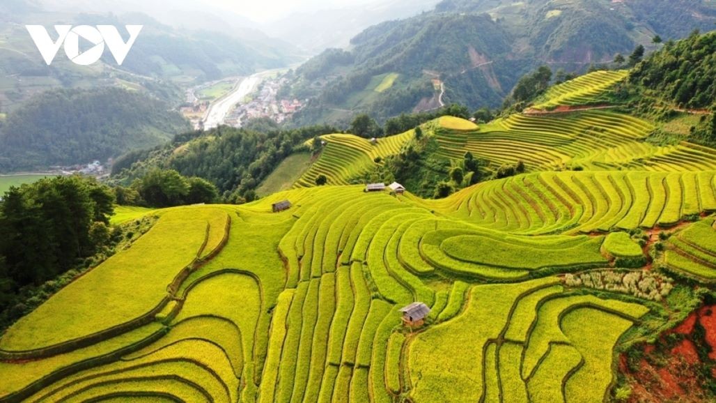 Stunning terraced rice fields in Mu Cang Chai