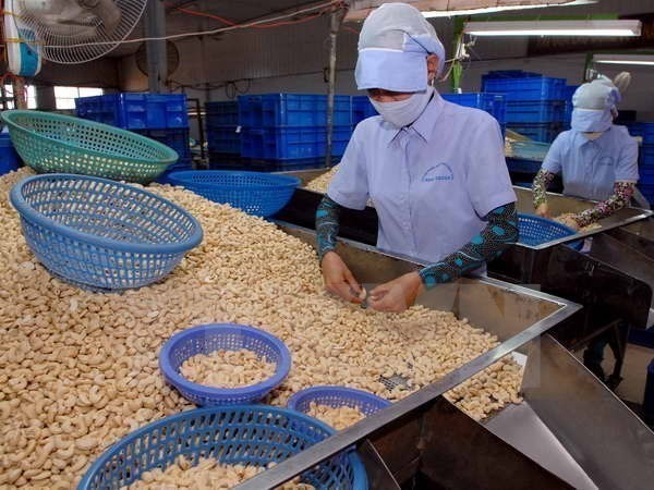 More progress seen in handling suspected cashew nut scam in Italy