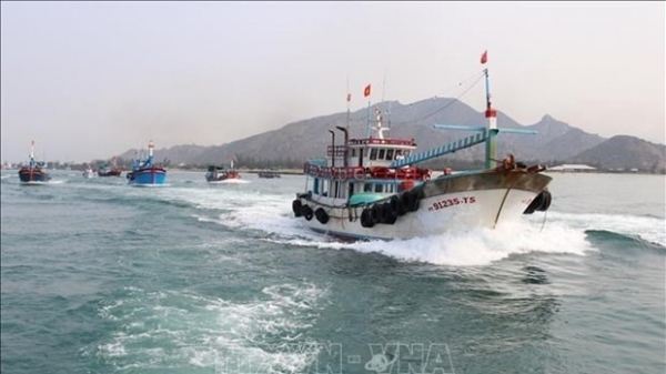 Ninh Thuan fights IUU fishing to boost sustainable maritime economy