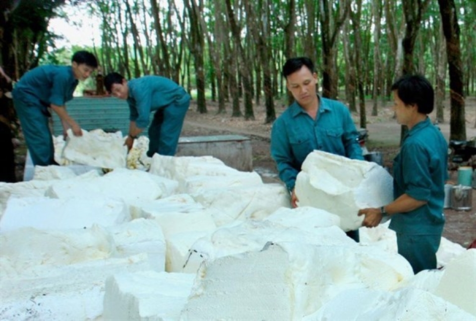 dorufoam expands export to russia europe american markets