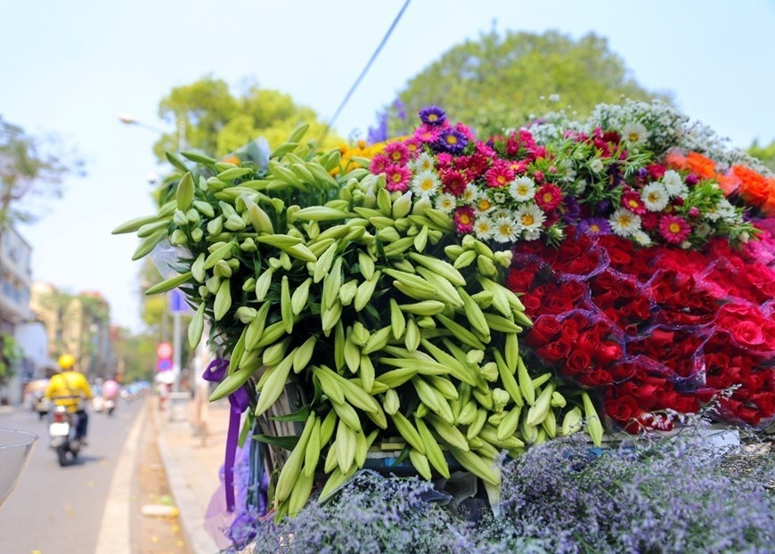 Easter lily shows off beauty on Ha Noi streets