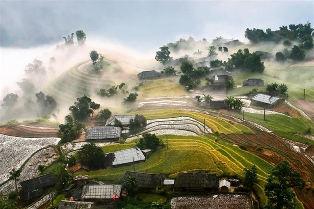 Located in the west of the northernmost mountain province of Ha Giang, Hoang Su Phi is famous among tourists for its charming landscapes. Photo didulich.net