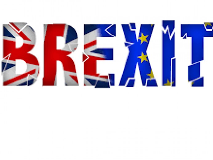 Người Anh lên tiếng: Đã đến lúc rời EU (Bài I)