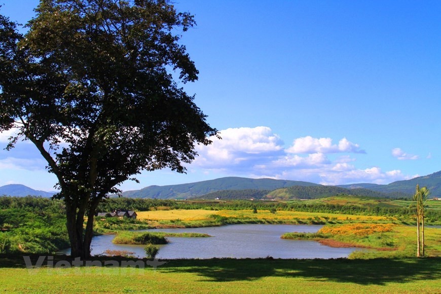 Da Lat attracts tourists with colourful flowers