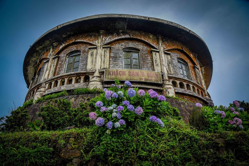 Peak of Mau Son Mountain dazzled with colourful hydrangeas bloom